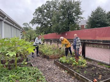 Photo from September Garden Cleanup
