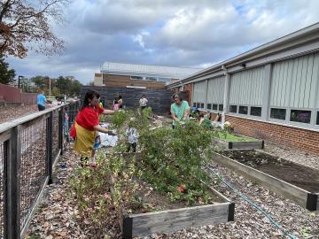 Volunteers cleaning up garden beds